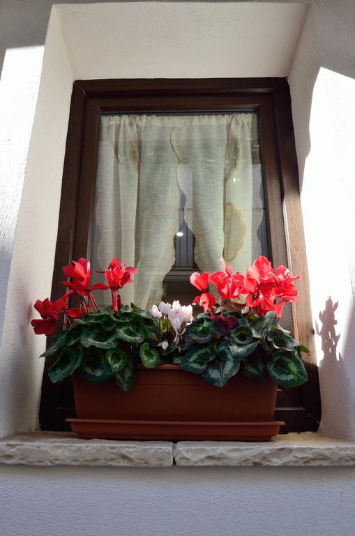 Bed and Breakfast Dependance Ludovica Termoli Exterior foto